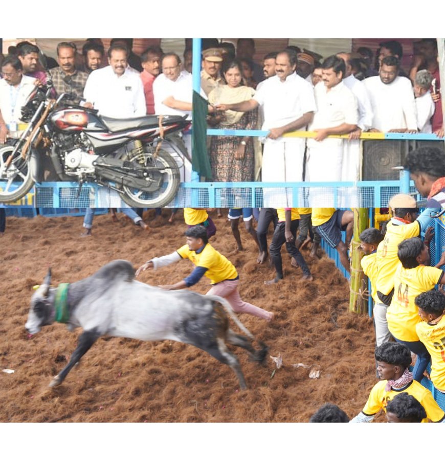 தச்சங்குறிச்சியில் ஜல்லிக்கட்டுப் போட்டி... அமைச்சர்கள் துவக்கி வைத்தனர்..!!