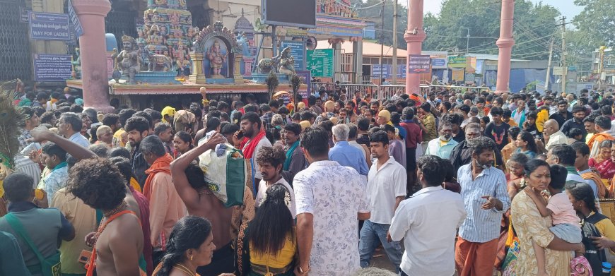 பழனி தண்டாயுதபாணி சுவாமி கோவில் விடுமுறை நாளை முன்னிட்டு ஏராளமான பக்தர்கள் வருகை...