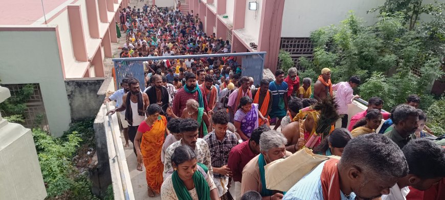 பழனி தண்டாயுதபாணி சுவாமி கோவில் விடுமுறை நாளை முன்னிட்டு ஏராளமான பக்தர்கள் வருகை...