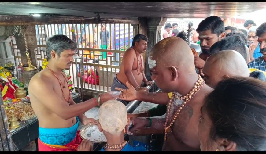 பழனி தண்டாயுதபாணி சுவாமி கோவிலில் குவிந்த ஆயிரக்கணக்கான பக்தர்கள்...