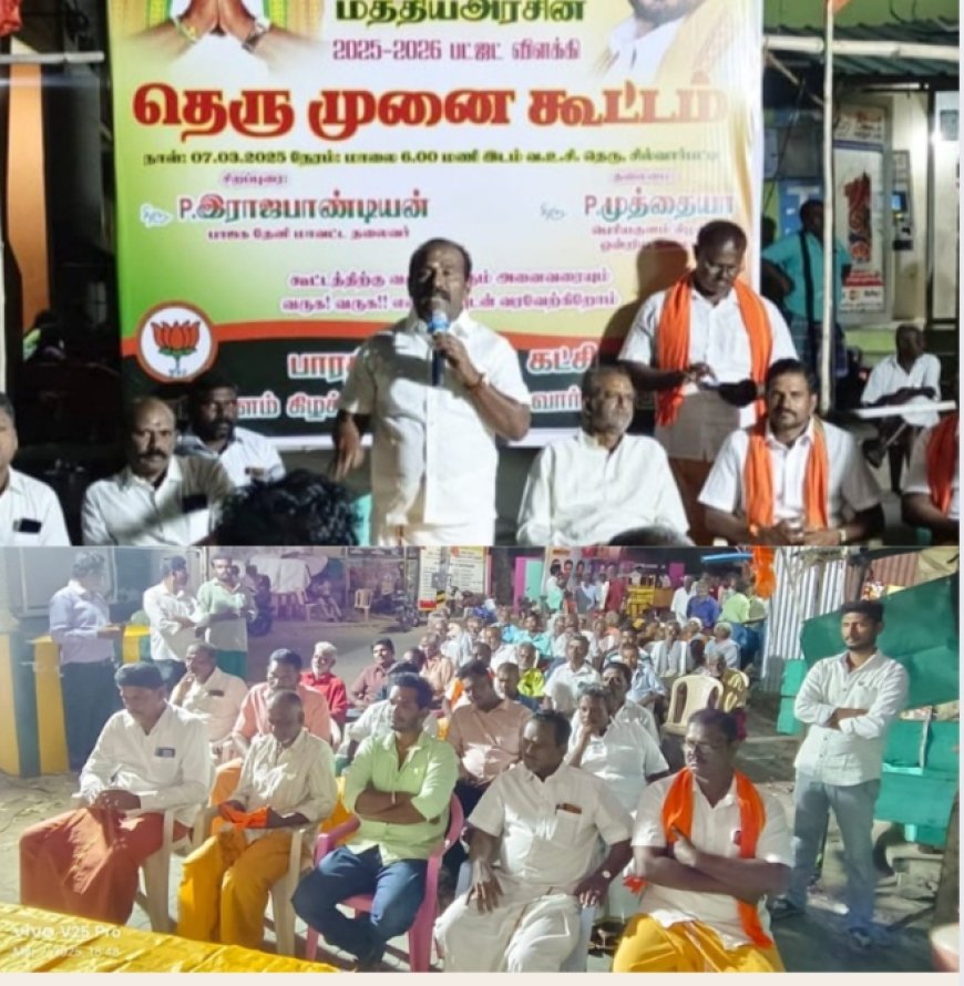பெரியகுளம் அருகே பாஜக சார்பில் மத்திய அரசின் பட்ஜெட் விளக்க தெருமுனை கூட்டம்...  