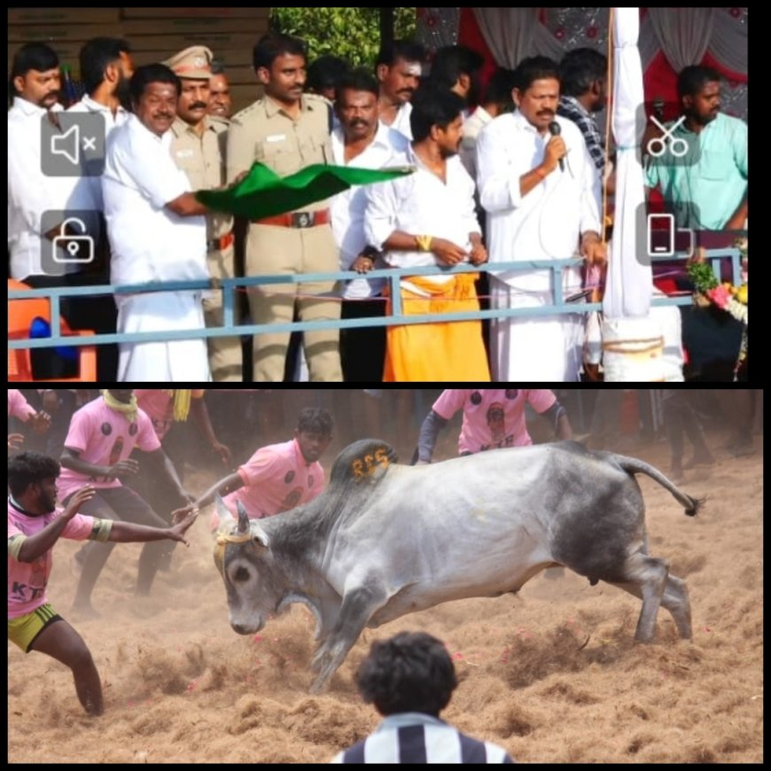 செம்பனூரில் ஜல்லிக்கட்டு போட்டியை கொடியசைத்து துவக்கி வைத்த தமிழ்நாடு ஜல்லிக்கட்டு பேரவை தலைவர்...