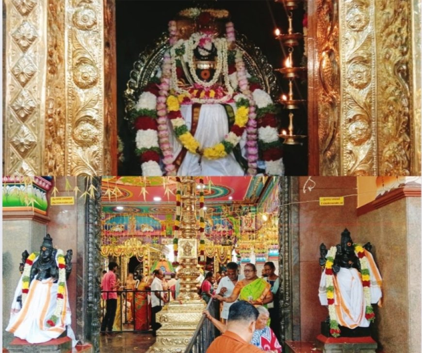 ஸ்ரீ மீனாட்சி சுந்தரேஸ்வர் திருக்கோவிலில் மஹா கும்பாபிஷேகம்...