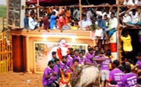 பெரிய சூரியூரில் ரூ.3 கோடி ஜல்லிக்கட்டு மைதானம் – பொங்கல் அன்று  உதயநிதி ஸ்டாலின் திறப்பு