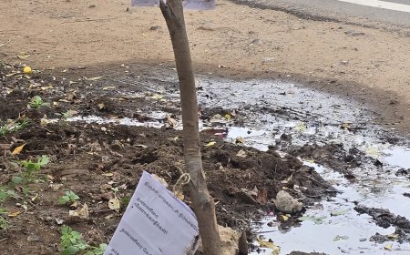 குடிநீர் வீணாவதை தடுக்க கவன ஈர்ப்பு பதாகை.திருச்சியில் மக்கள் சக்தி இயக்கத்தின் மக்கள்  நலனின் முயற்சி