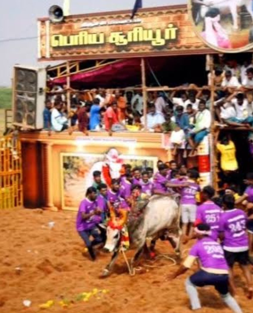 பெரிய சூரியூரில் ரூ.3 கோடி ஜல்லிக்கட்டு மைதானம் – பொங்கல் அன்று  உதயநிதி ஸ்டாலின் திறப்பு