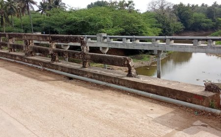 தஞ்சை பூதலூர் தாலுகாவில் தொடரும் அலட்சியம்: சாய்ந்த மின்கம்பங்கள் மற்றும் வலுவிழந்த பாலங்களால் உயிர் பலி அபாயம் – பொதுமக்கள் கடும் கண்டனம்!