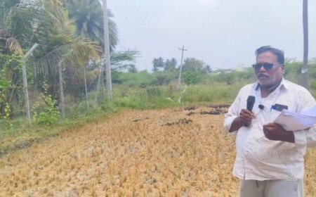 ஏரி கால்வாய் ஆக்கிரமிப்பு   விவசாயம் கடும் பாதிப்பு....விவசாயிகள் கண்ணீர் மல்க கோரிக்கை!