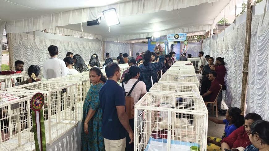 ஐபாவுஸ் அமைப்பு மற்றும் ப்ரோஜோன் வணிக வளாகம், இணைந்து நடத்தும் கோவையில் மாபெரும் பெட் கார்னிவல் நிகழ்ச்சி...