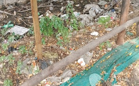திருவள்ளூர் மாவட்டம் ஆவடி தாலுகாவில் பல மாதங்களாக தேங்கி கிடக்கும் கழிவுநீர்....