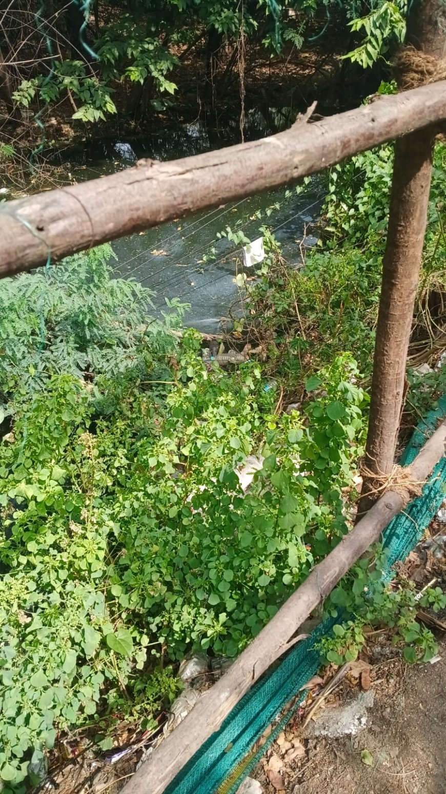திருவள்ளூர் மாவட்டம் ஆவடி தாலுகாவில் பல மாதங்களாக தேங்கி கிடக்கும் கழிவுநீர்....