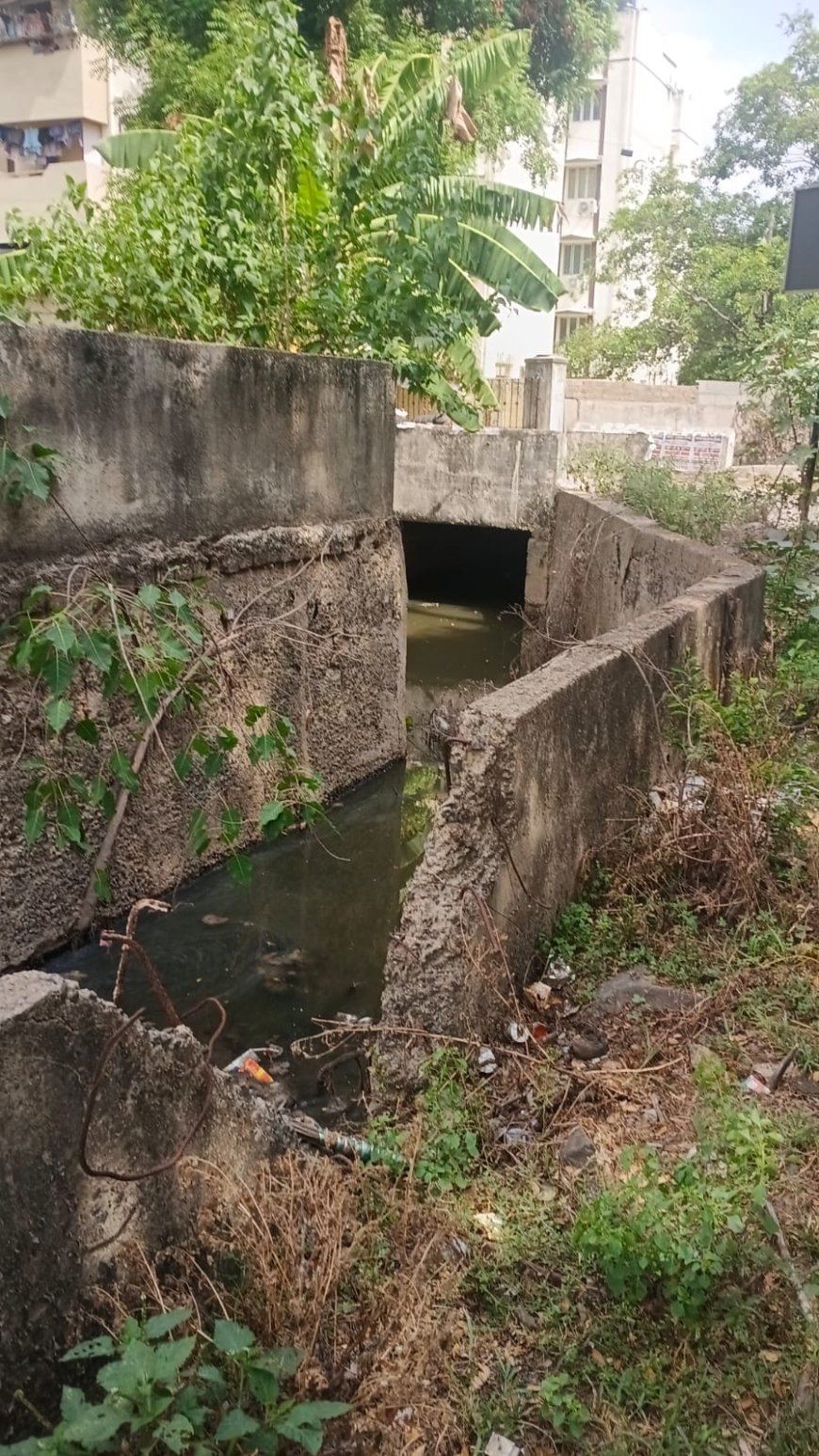 திருவள்ளூர் மாவட்டம் ஆவடி தாலுகாவில் பல மாதங்களாக தேங்கி கிடக்கும் கழிவுநீர்....